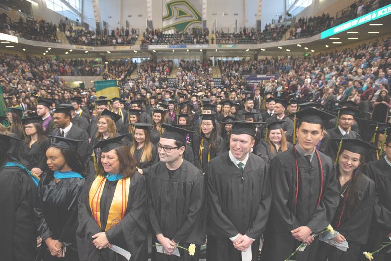 playtime casino online login