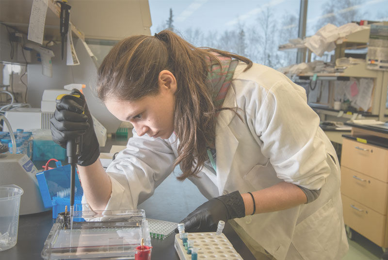 playtime casino online login