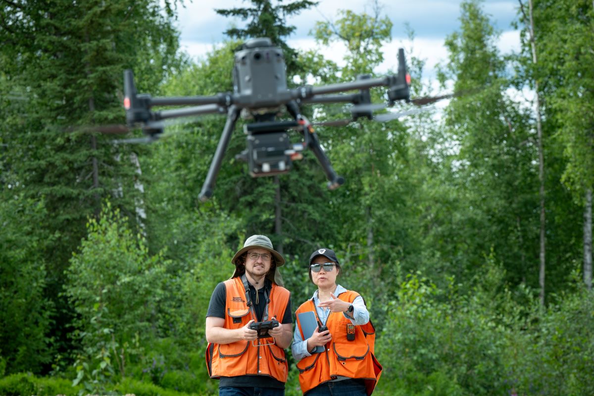 playtime casino online